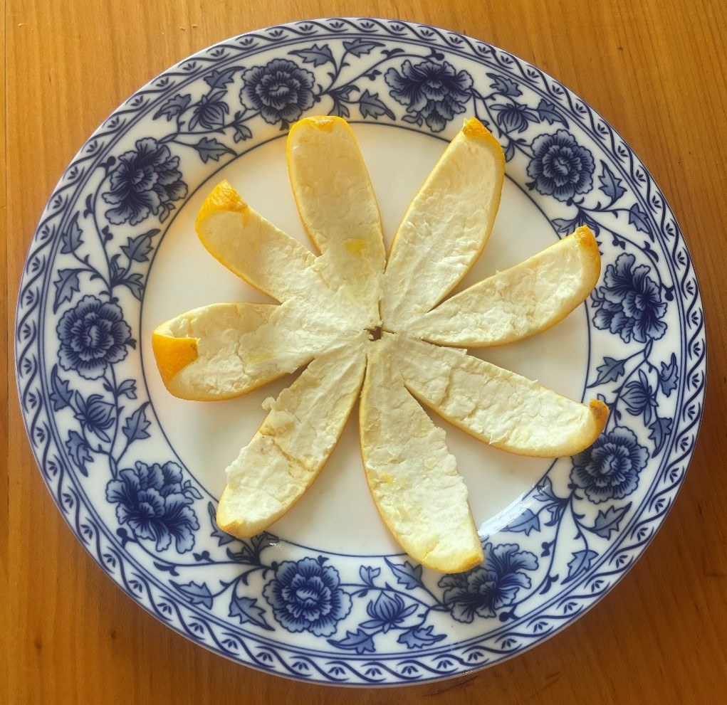 Mandarinenschale