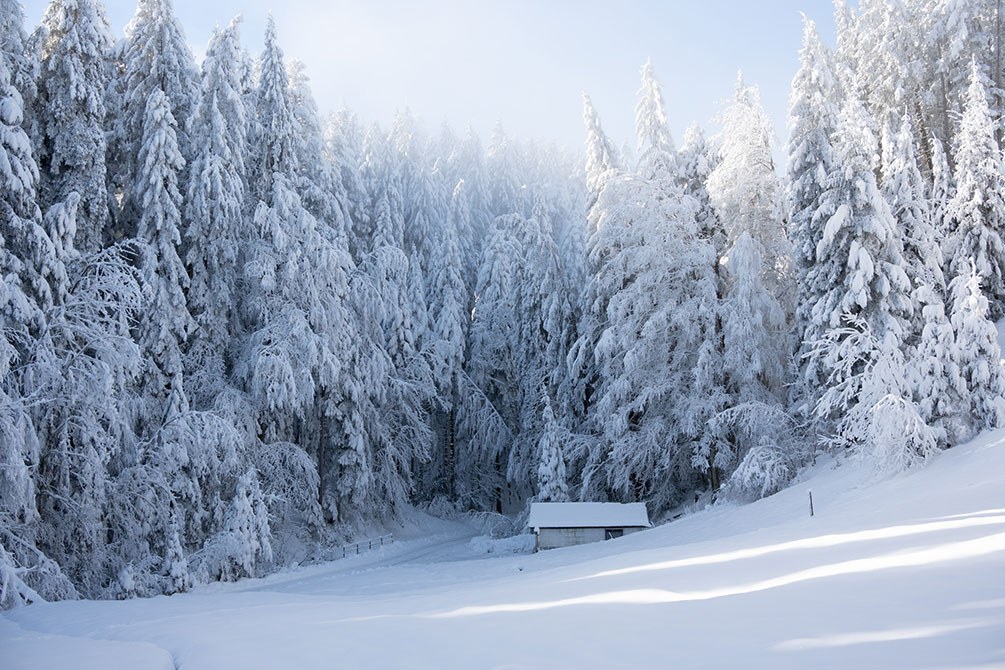 Winterlandschaft