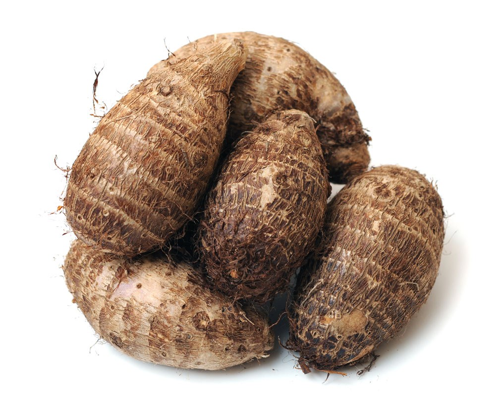 Taro Knolle